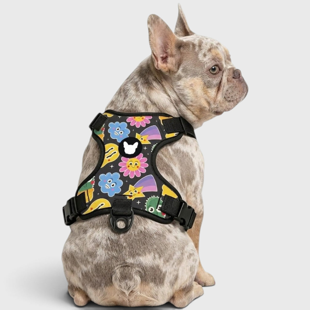 Breathable No-Pull Harness – Made for French Bulldogs' Chunky Build