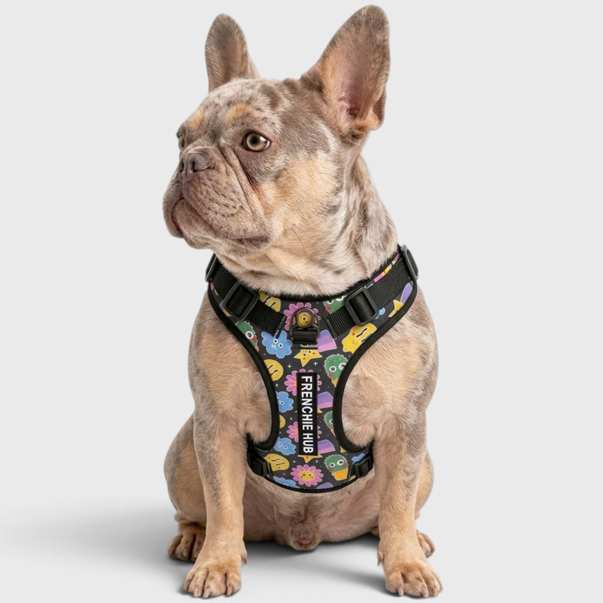 Breathable No-Pull Harness – Made for French Bulldogs' Chunky Build