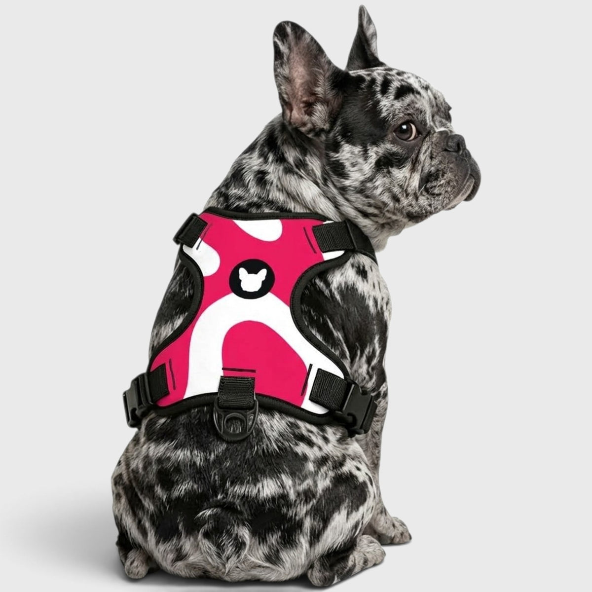 French Bulldog Everyday Harness – No-Pull, Adjustable & Cool-Fit Mesh