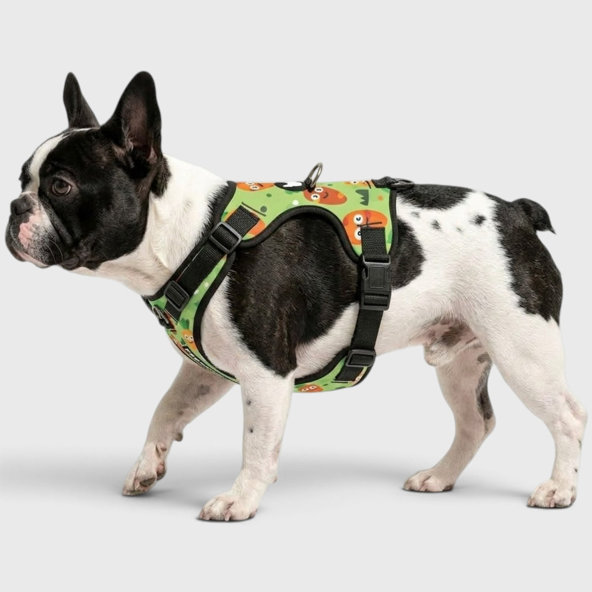 French Bulldog Easy-Walk Harness – No-Pull, Adjustable & Breathable