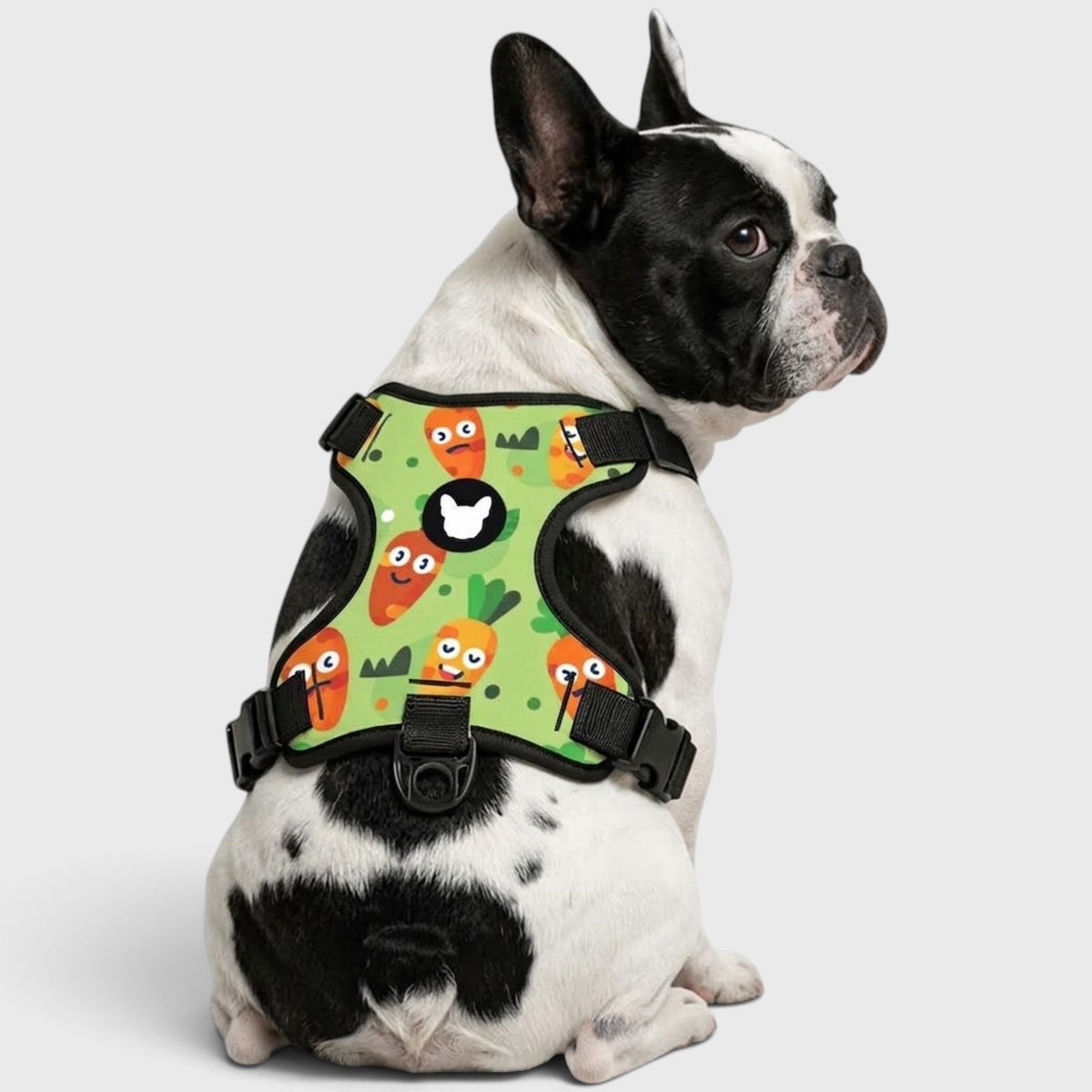 French Bulldog Easy-Walk Harness – No-Pull, Adjustable & Breathable