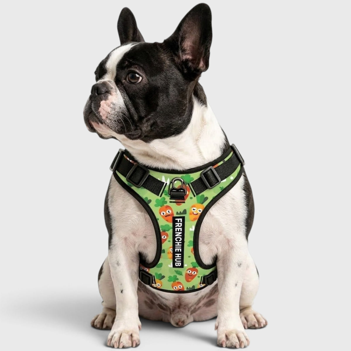 French Bulldog Easy-Walk Harness – No-Pull, Adjustable & Breathable