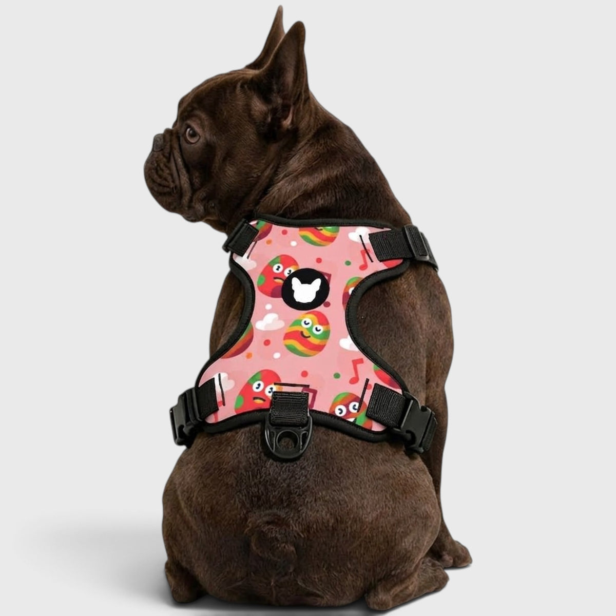 French Bulldog Vest Harness – Breathable Mesh, No-Pull Control