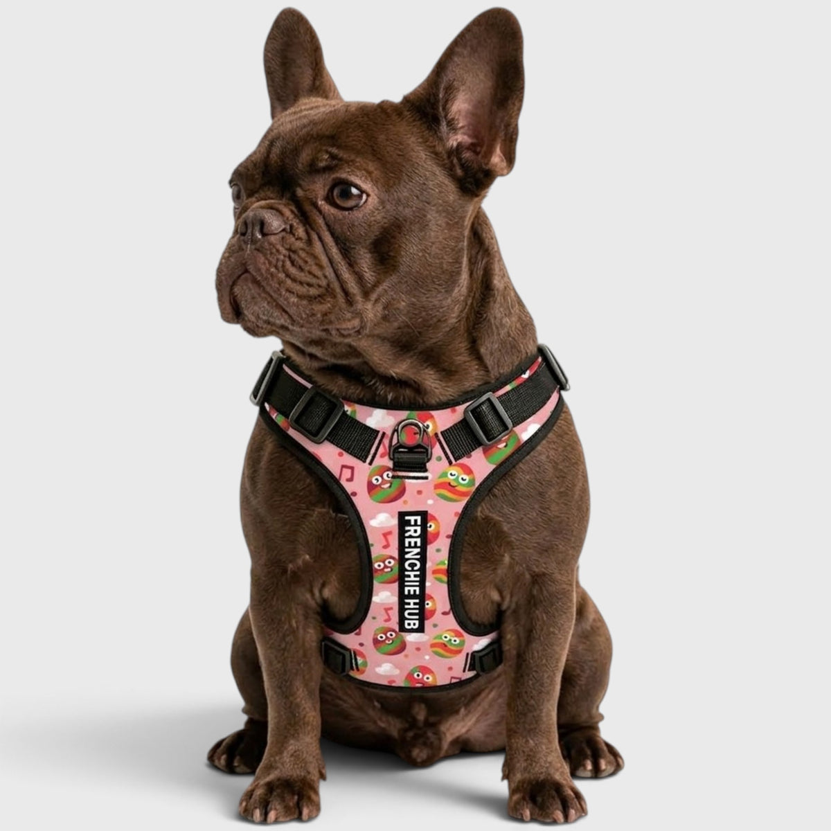 French Bulldog Vest Harness – Breathable Mesh, No-Pull Control