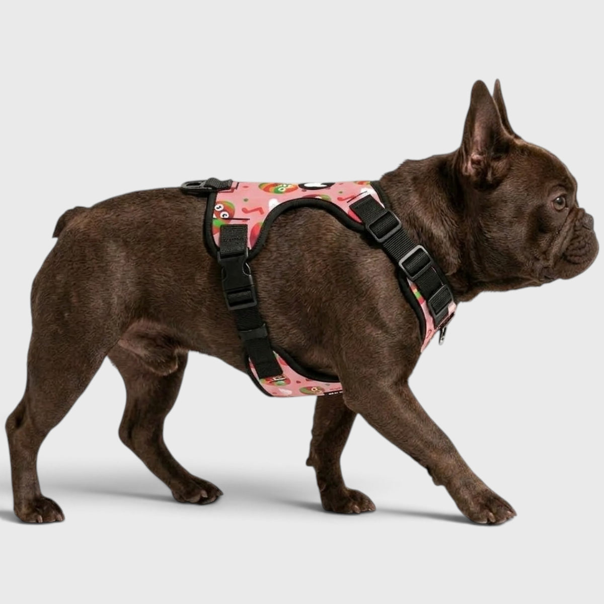 French Bulldog Vest Harness – Breathable Mesh, No-Pull Control
