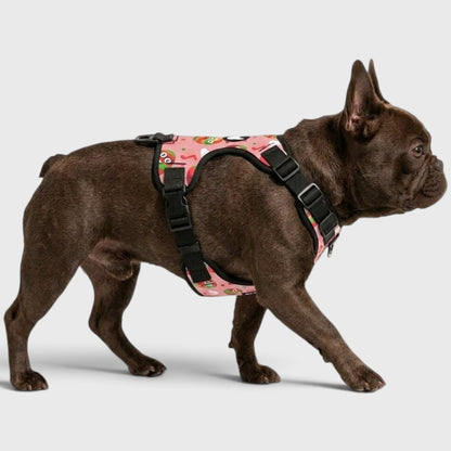French Bulldog Vest Harness – Breathable Mesh, No-Pull Control