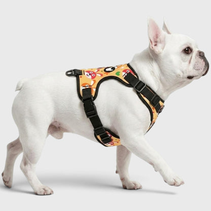 Frenchie-Fit Harness – Adjustable, Breathable & Built to Stop Pulling