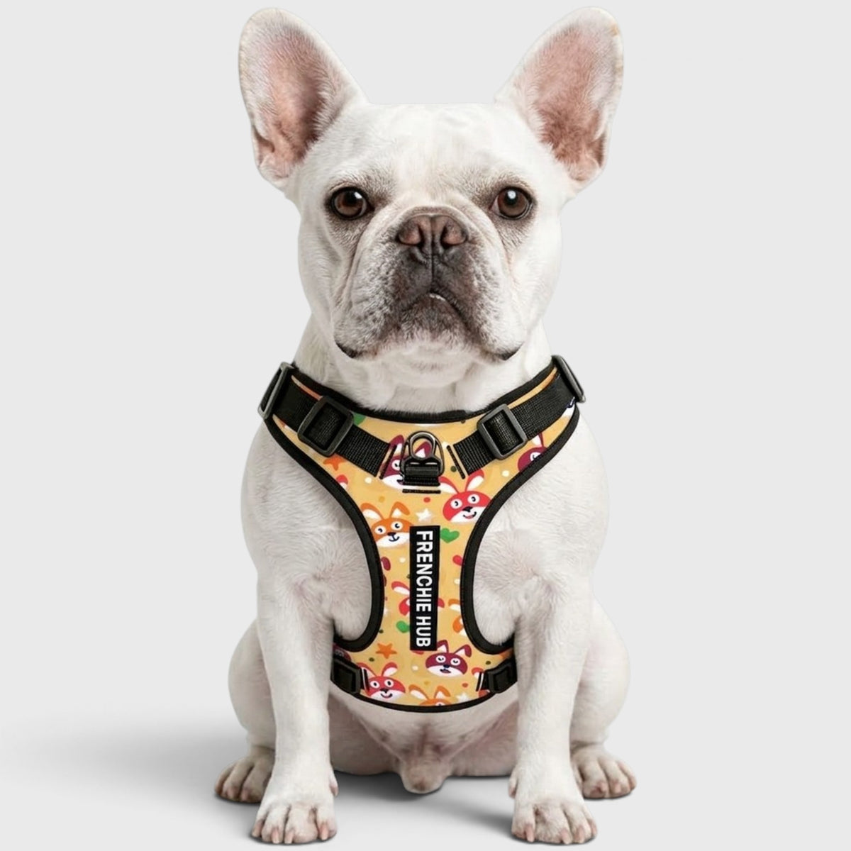 Frenchie-Fit Harness – Adjustable, Breathable & Built to Stop Pulling