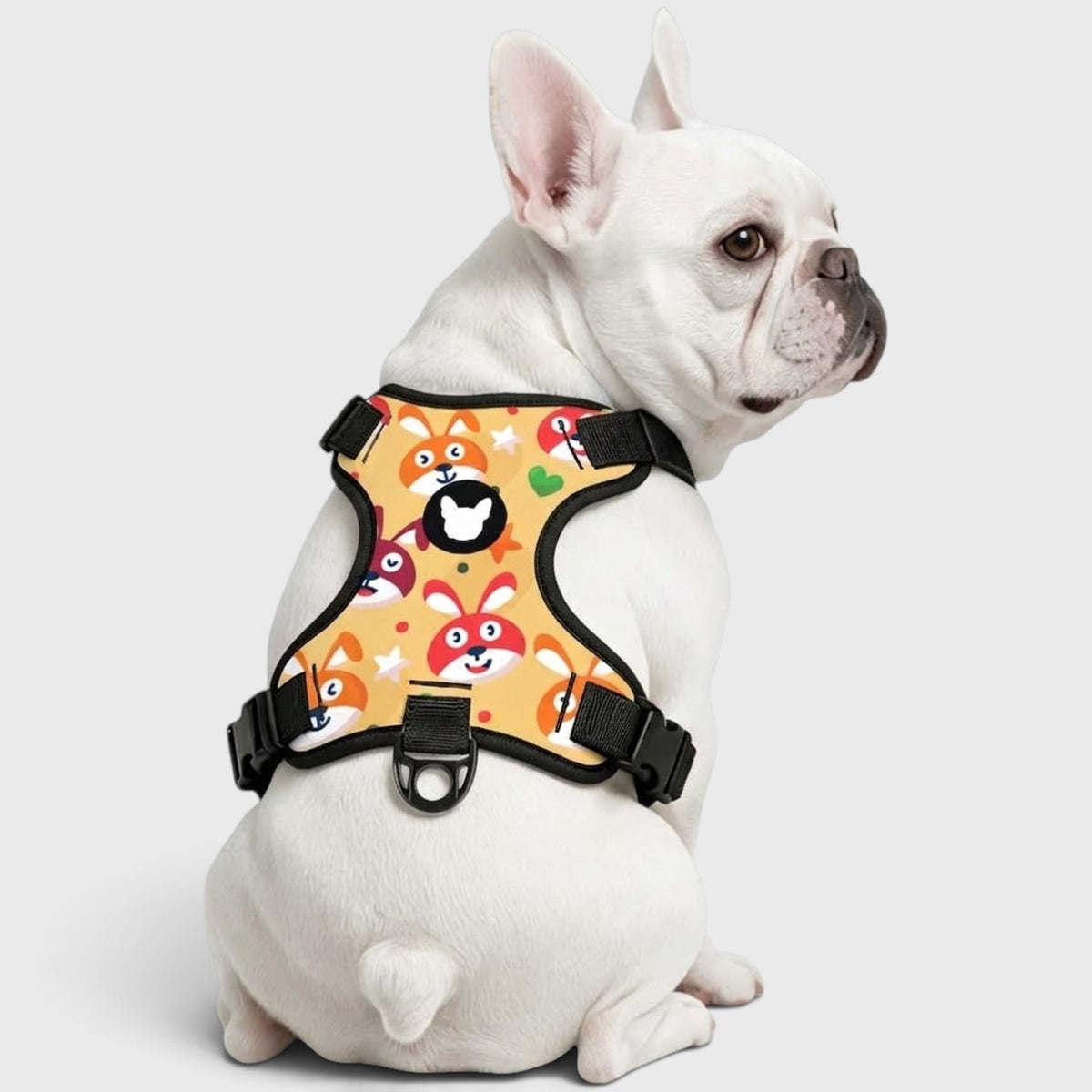 Frenchie-Fit Harness – Adjustable, Breathable & Built to Stop Pulling