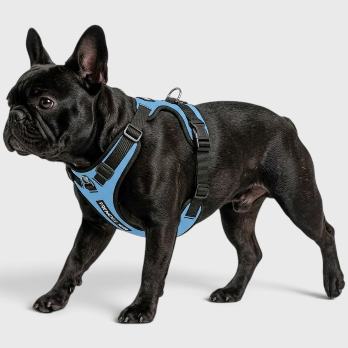 French Bulldog Harness – No-Pull, Breathable & Adjustable