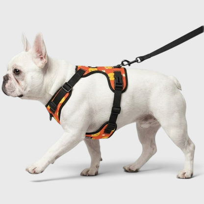 French Bulldog Harness – No-Pull, Breathable & Adjustable Fit