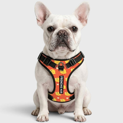 French Bulldog Harness – No-Pull, Breathable & Adjustable Fit
