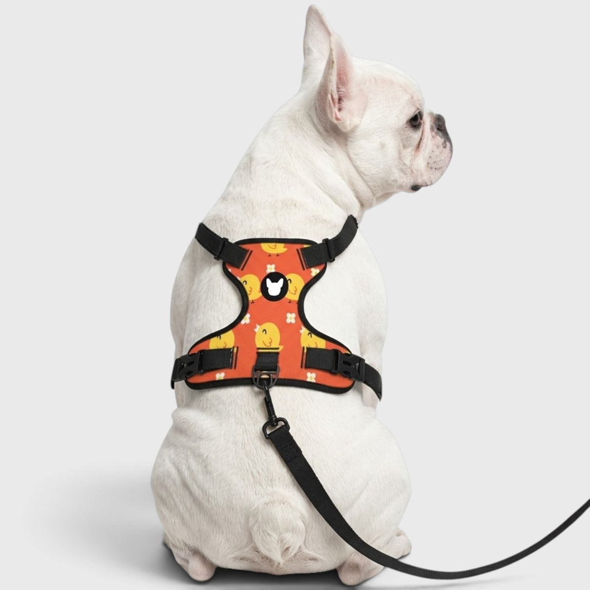 French Bulldog Harness – No-Pull, Breathable & Adjustable Fit