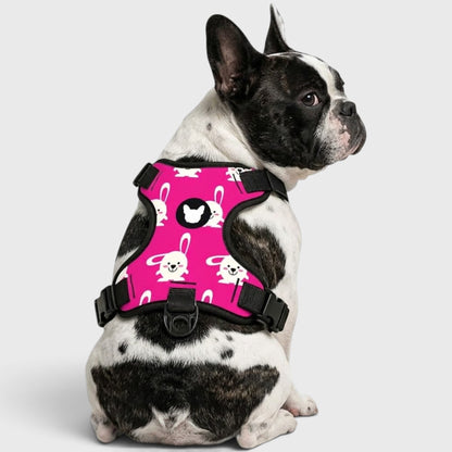 French Bulldog Comfort Harness – Breathable Mesh, Adjustable, Anti-Pull