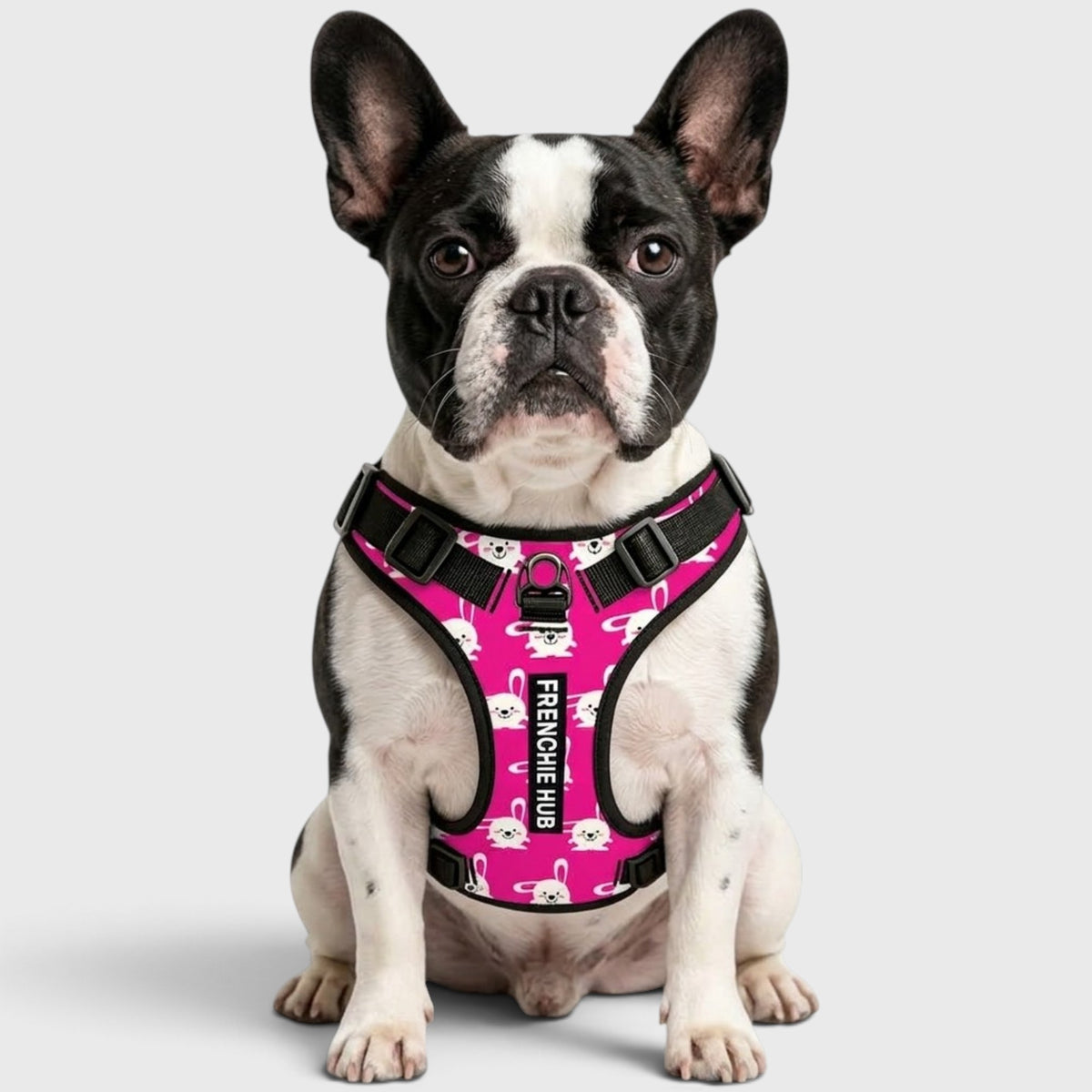 French Bulldog Comfort Harness – Breathable Mesh, Adjustable, Anti-Pull