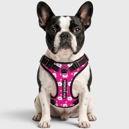 French Bulldog Comfort Harness – Breathable Mesh, Adjustable, Anti-Pull