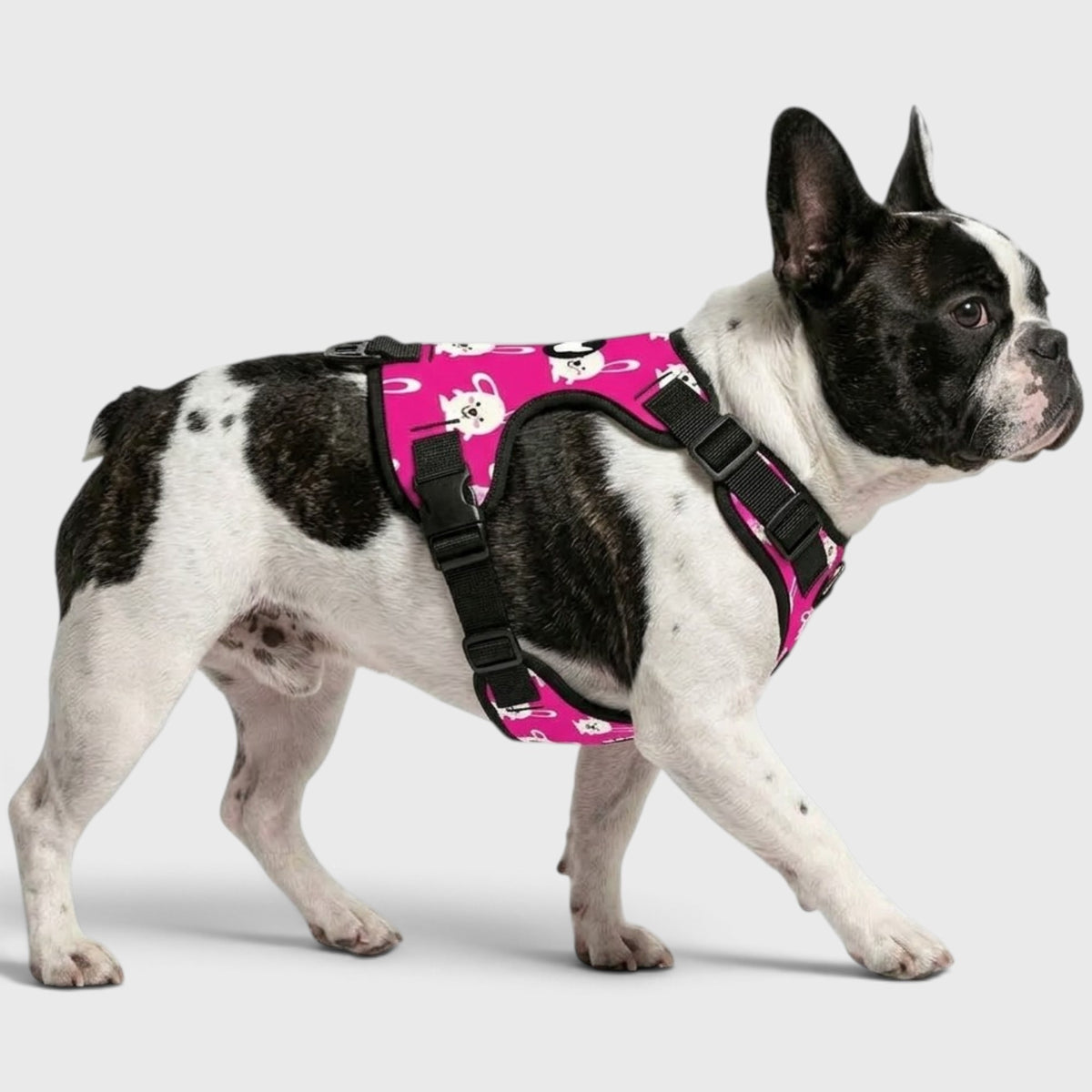 French Bulldog Comfort Harness – Breathable Mesh, Adjustable, Anti-Pull