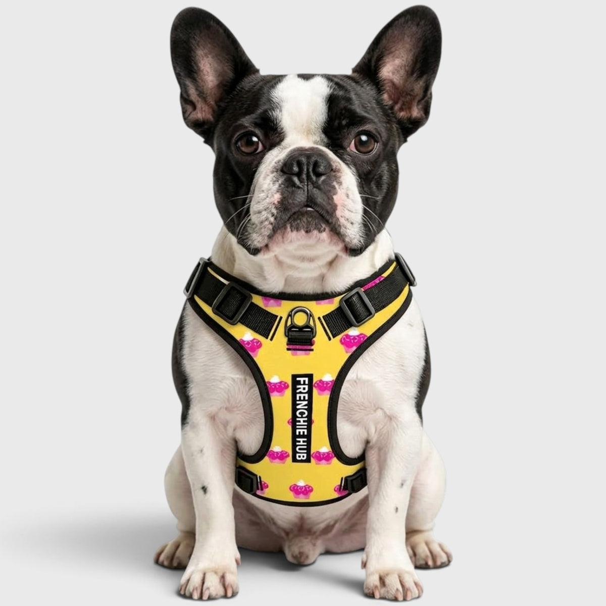 Frenchie Walk Harness – No-Pull Design, Breathable & Fully Adjustable