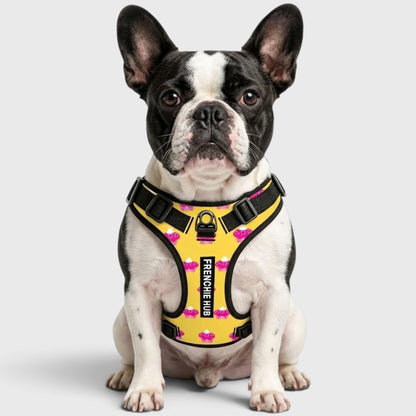 Frenchie Walk Harness – No-Pull Design, Breathable & Fully Adjustable