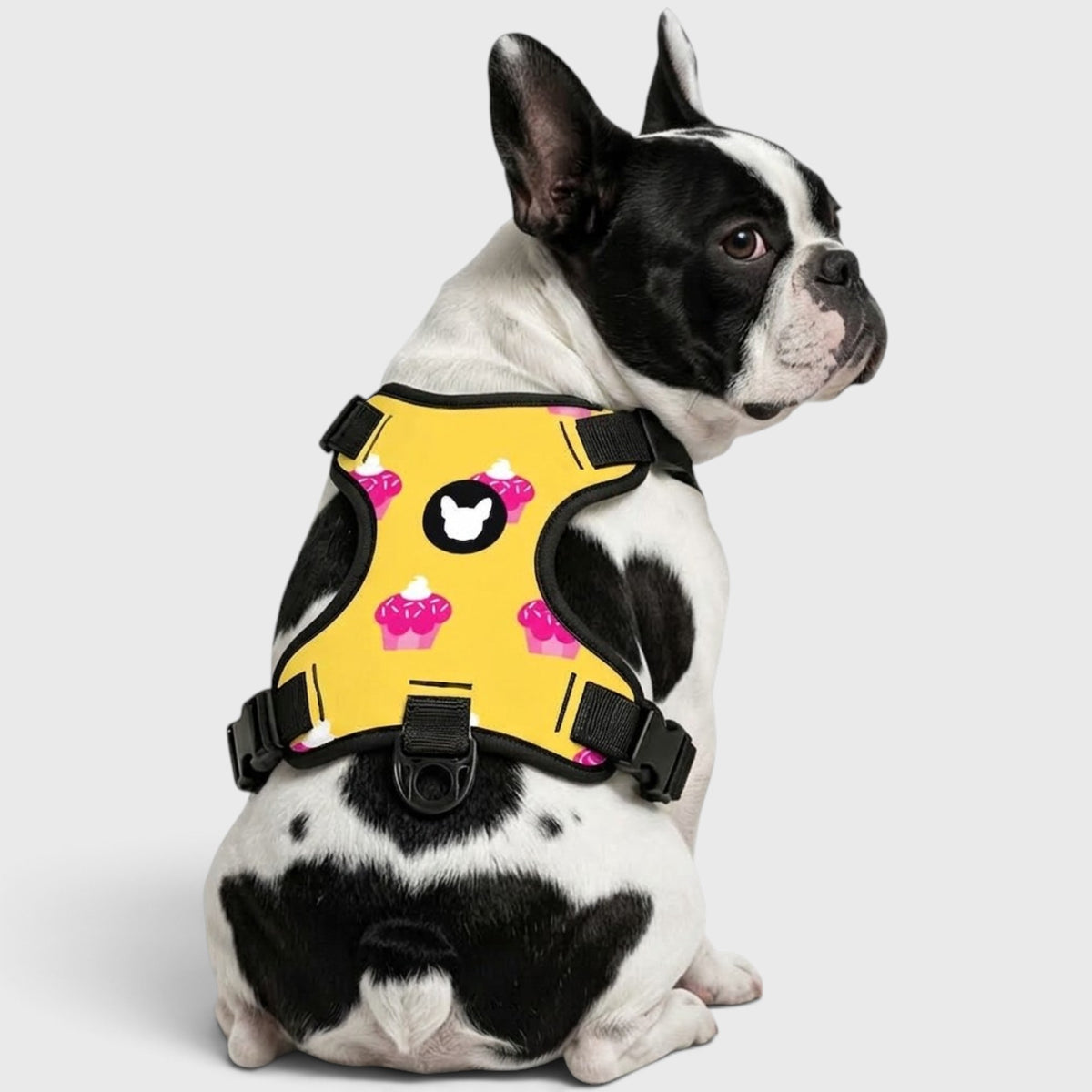 Frenchie Walk Harness – No-Pull Design, Breathable & Fully Adjustable