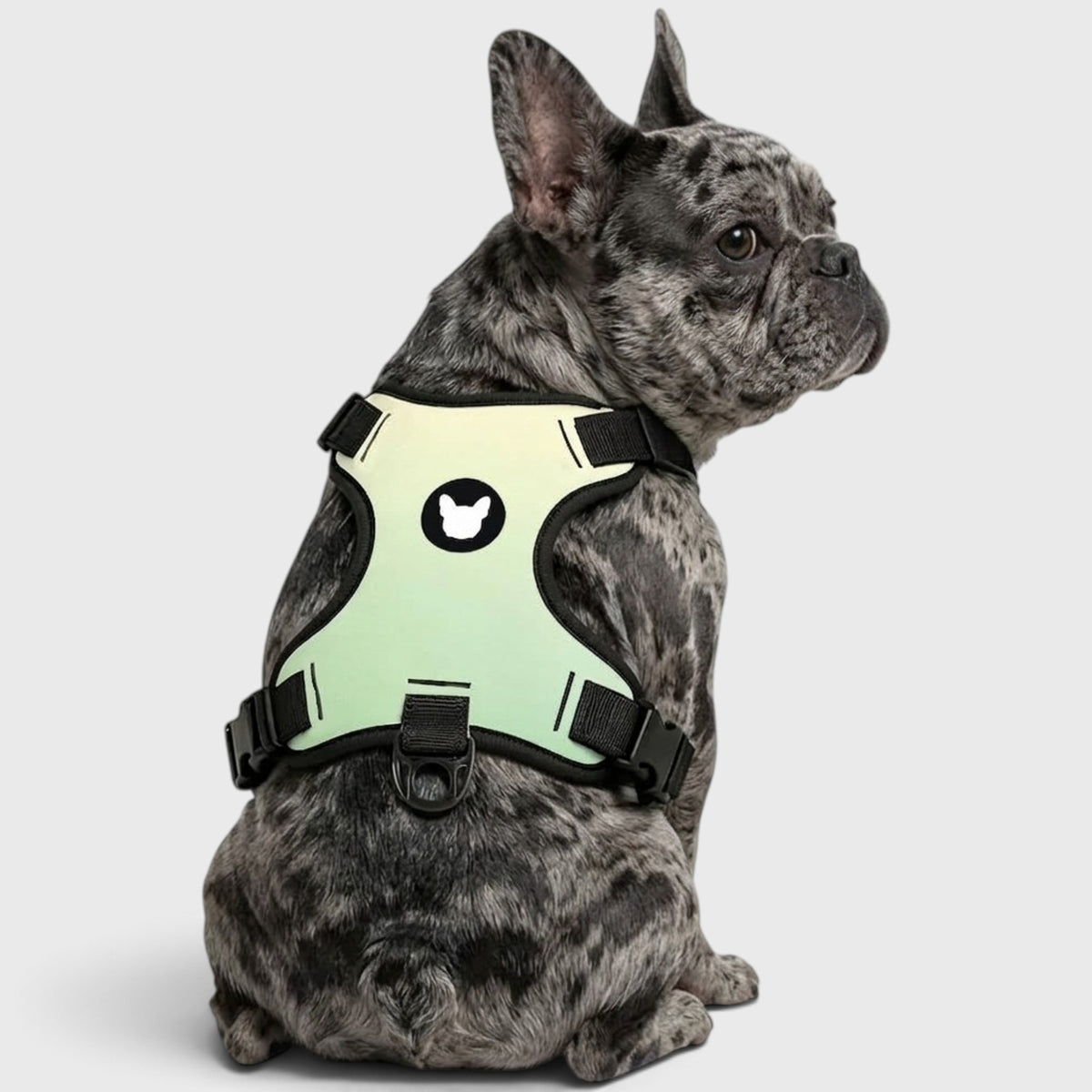 French Bulldog No-Pull Harness – Breathable & Adjustable Fit