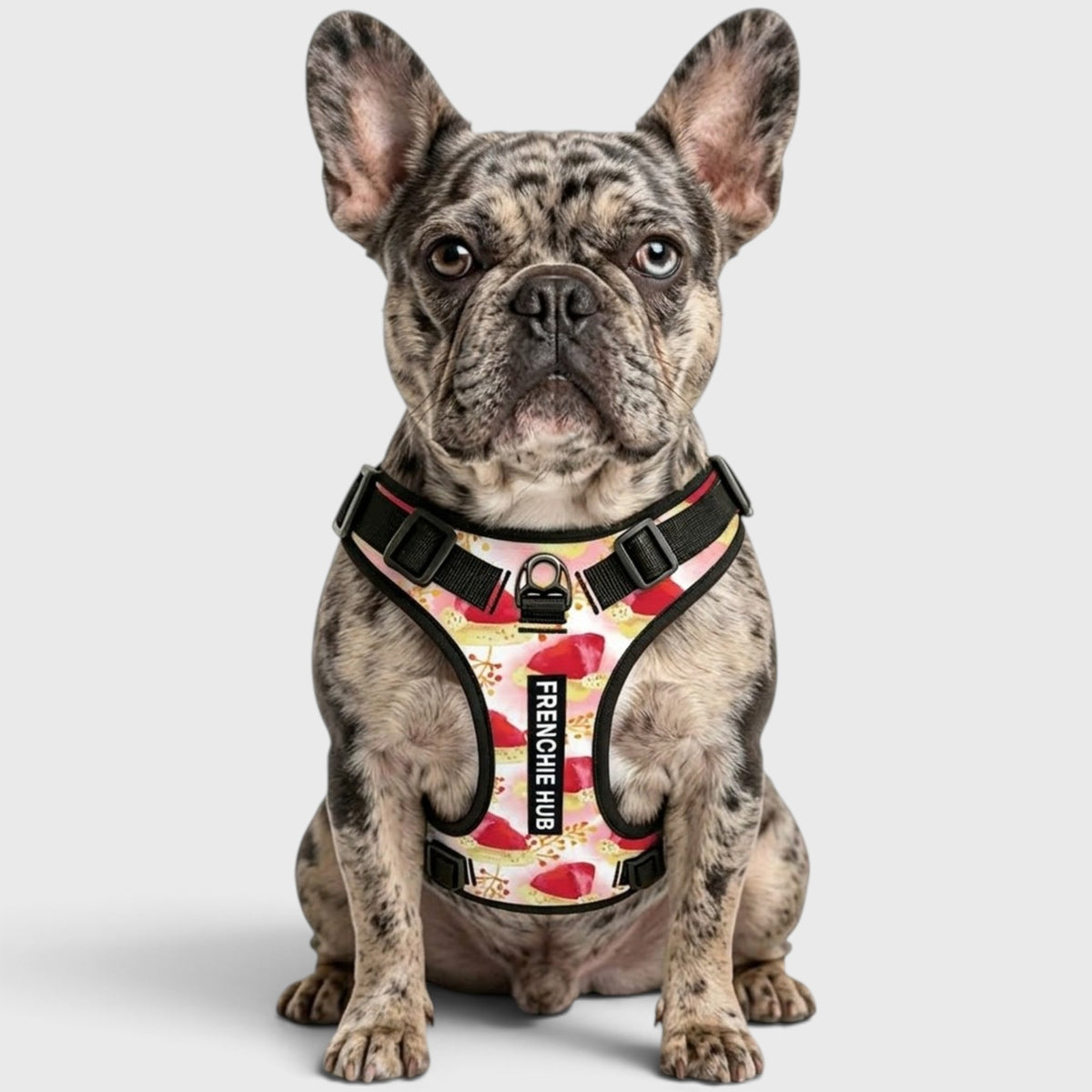 French Bulldog Harness – Breathable, No-Pull & Adjustable Straps