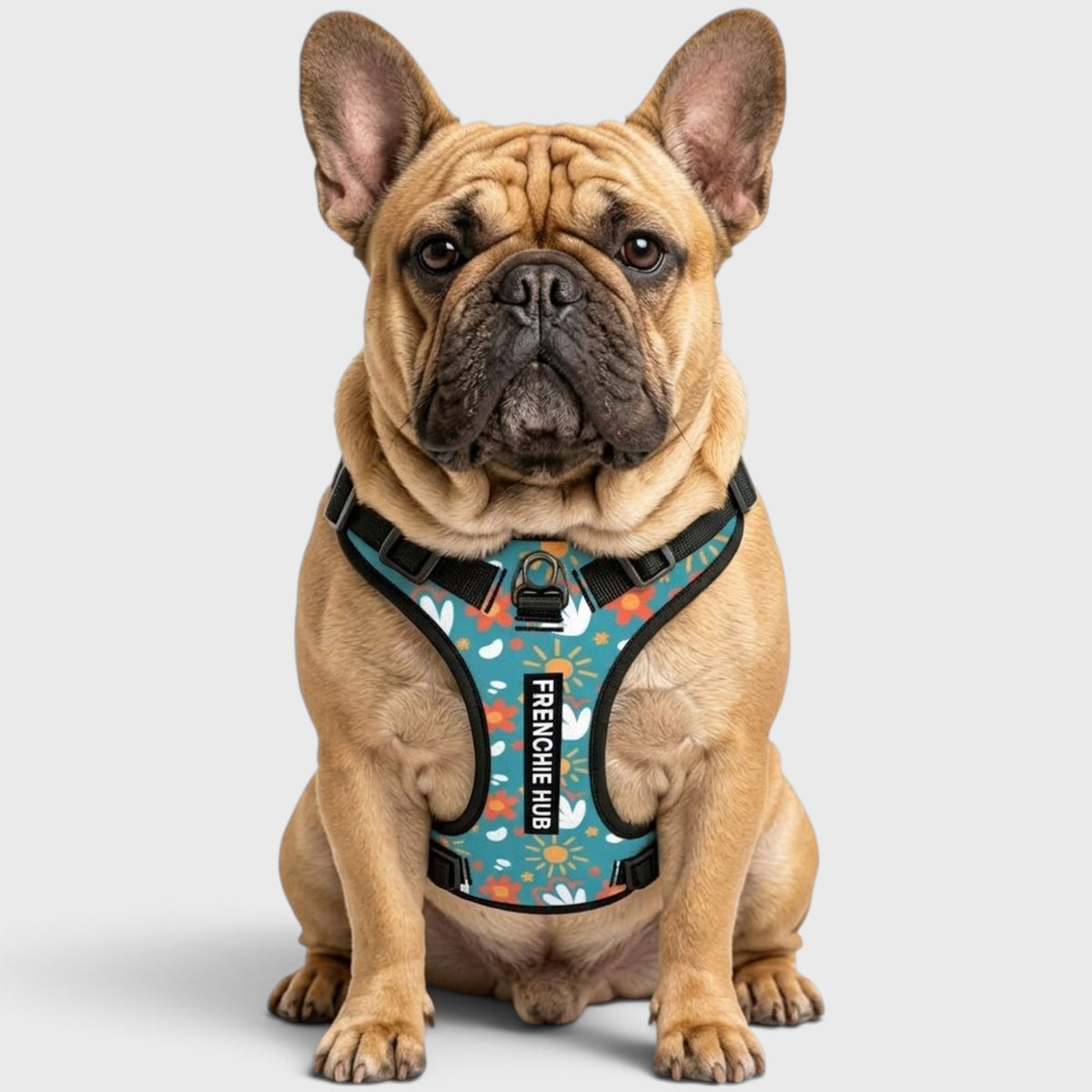 French Bulldog Daily Harness – Adjustable Fit, Breathable & Pull-Free