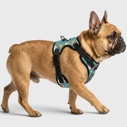 French Bulldog Daily Harness – Adjustable Fit, Breathable & Pull-Free