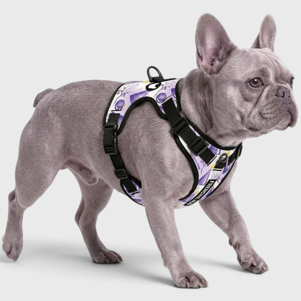 Frenchie Comfort-Control Harness – No-Pull, Breathable & Adjustable