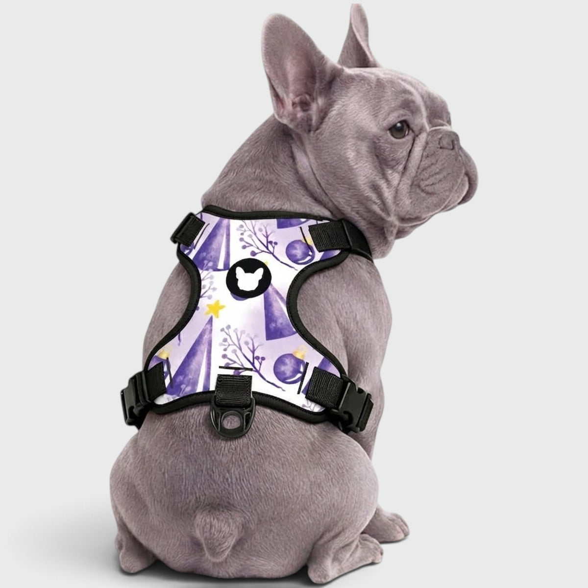 Frenchie Comfort-Control Harness – No-Pull, Breathable & Adjustable