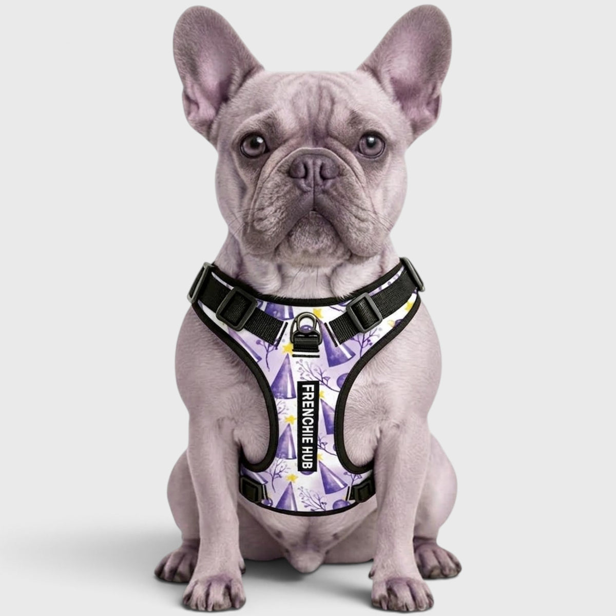 Frenchie Comfort-Control Harness – No-Pull, Breathable & Adjustable