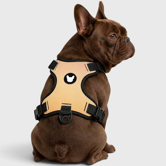 Breathable Adjustable Harness for French Bulldogs – No-Pull Design