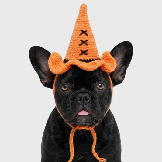 French Bulldog Wizard Hat – Funny Knitted Halloween Costume Hat