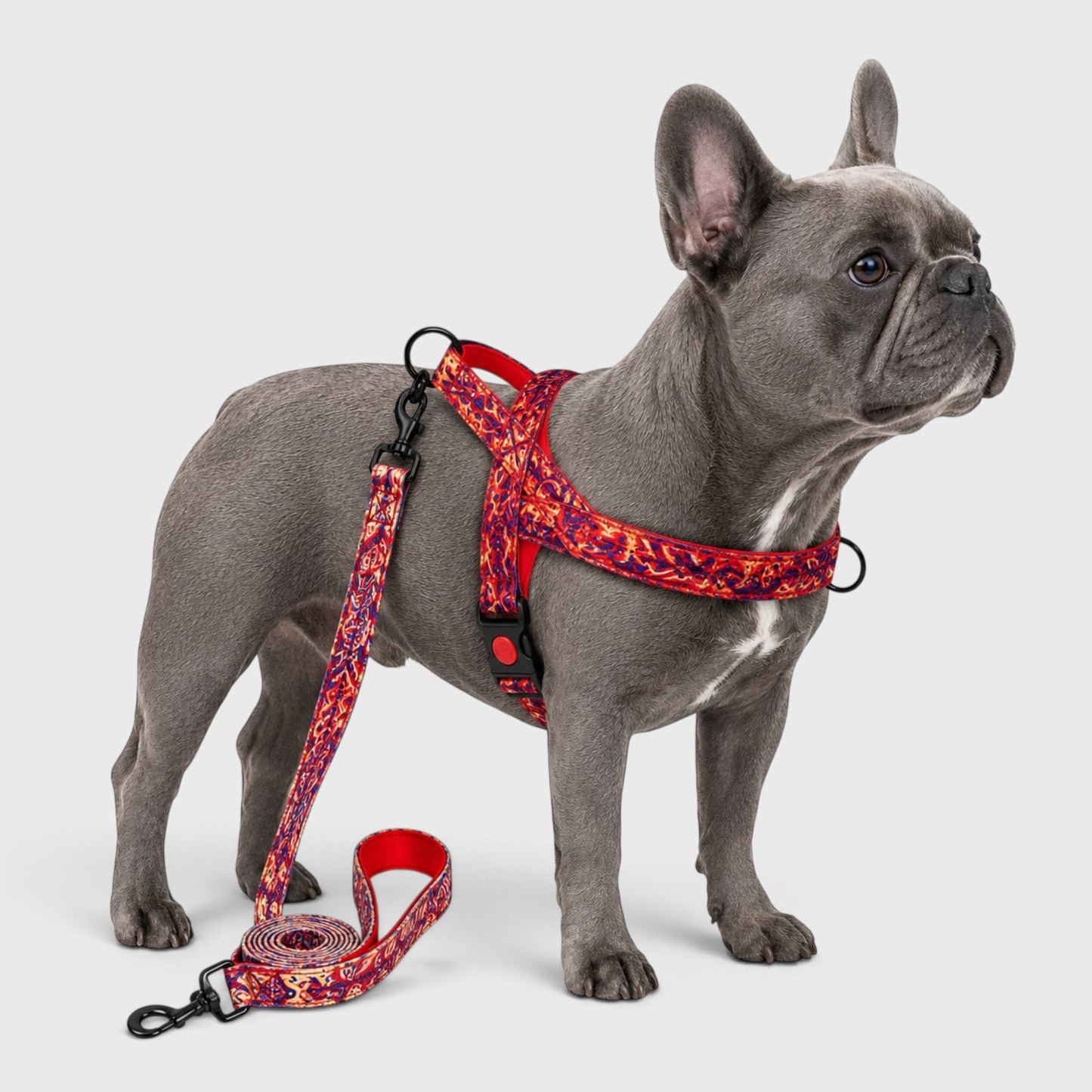 French Bulldog Anti-Pull Nylon Harness – Leash Set Chest Back