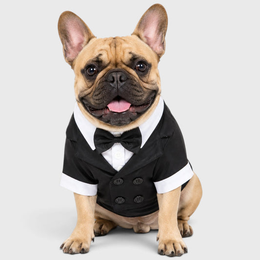 French Bulldog Wedding Tuxedo – Gentleman Bow Tie Formal Suit