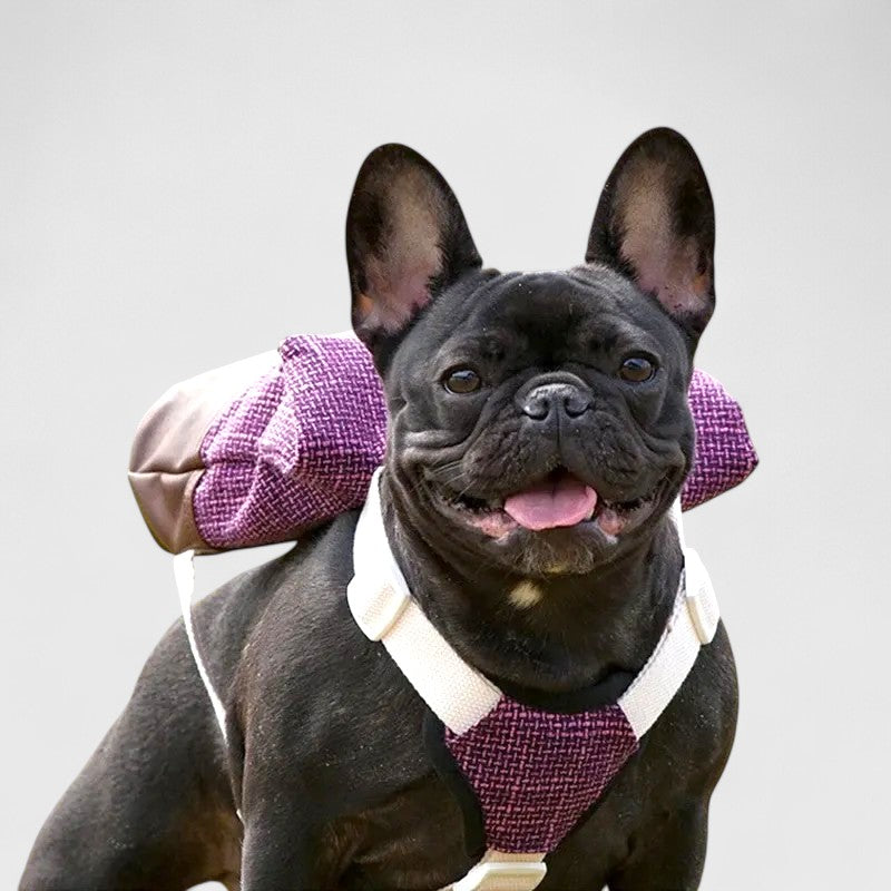 French Bulldog Backpack Harness – Breathable Adjustable Vest Bag