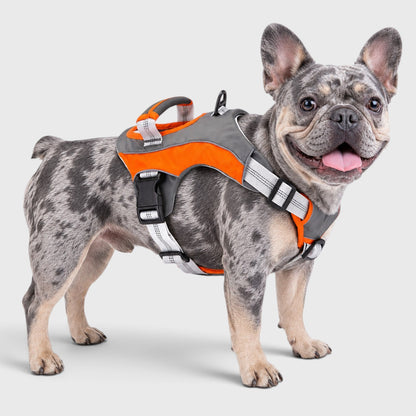 French Bulldog Reflective Chest Harness – Explosion-Proof Vest