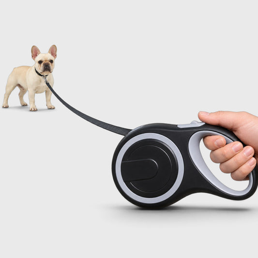 French Bulldog Retractable Leash – Strong 5m/8m Adjustable Walker