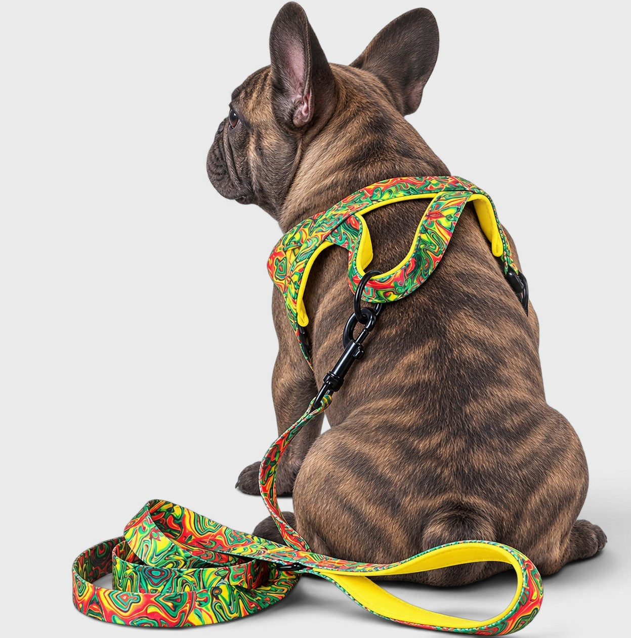 French Bulldog Anti-Pull Nylon Harness – Leash Set Chest Back