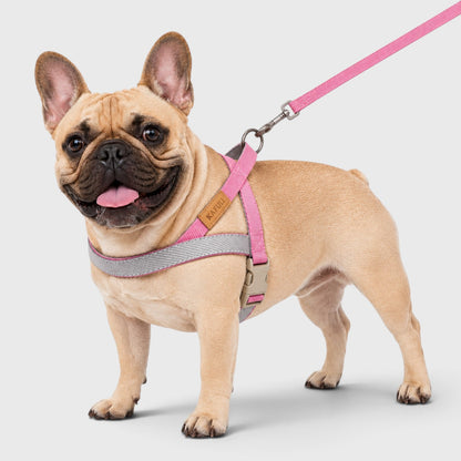 French Bulldog Vest Harness & Leash Set – Durable Walking Rope