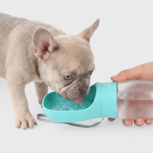 Portable French Bulldog Water Bottle – Travel Feeding Dispenser
