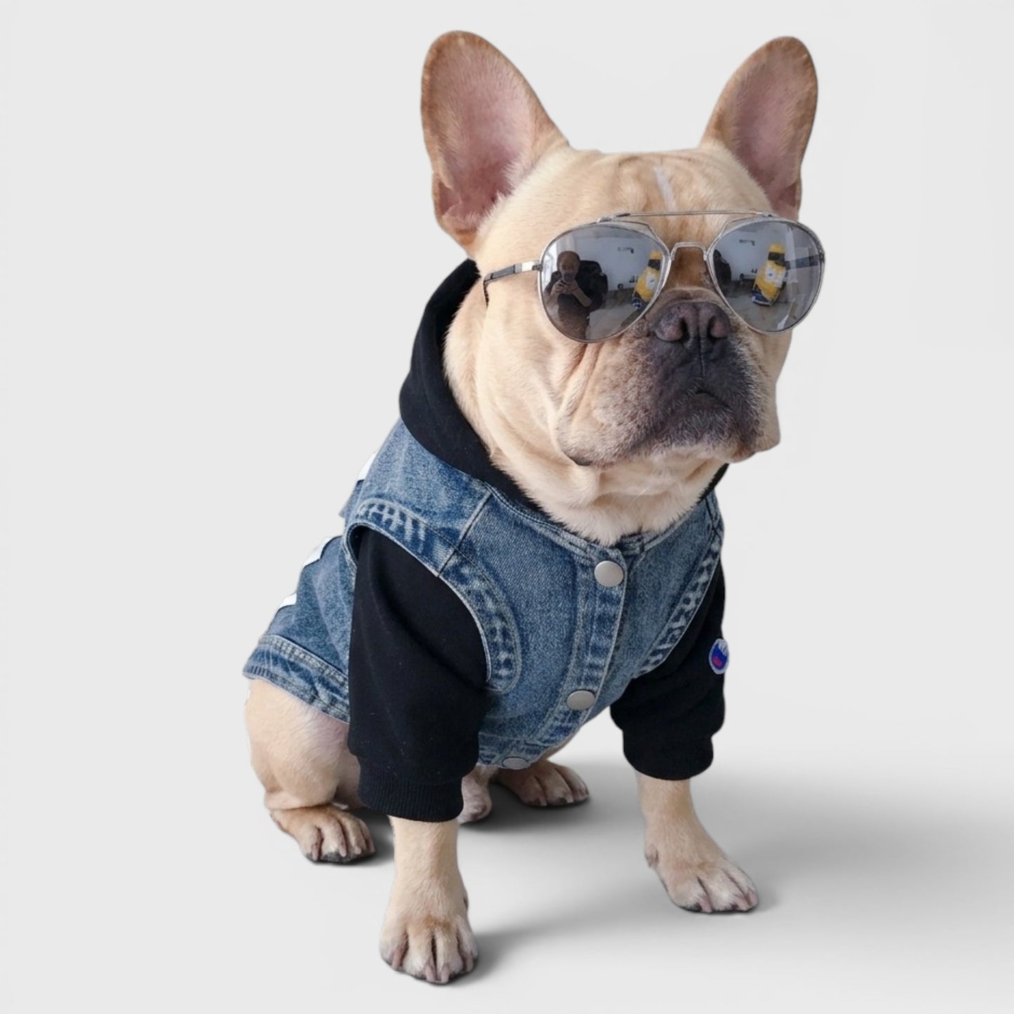 French Bulldog Denim Vest – Trendy Cowboy Summer Dog Outfit