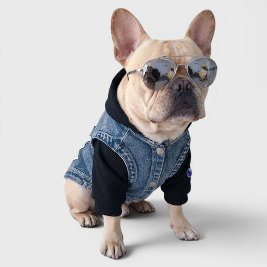 French Bulldog Denim Vest – Trendy Cowboy Summer Dog Outfit