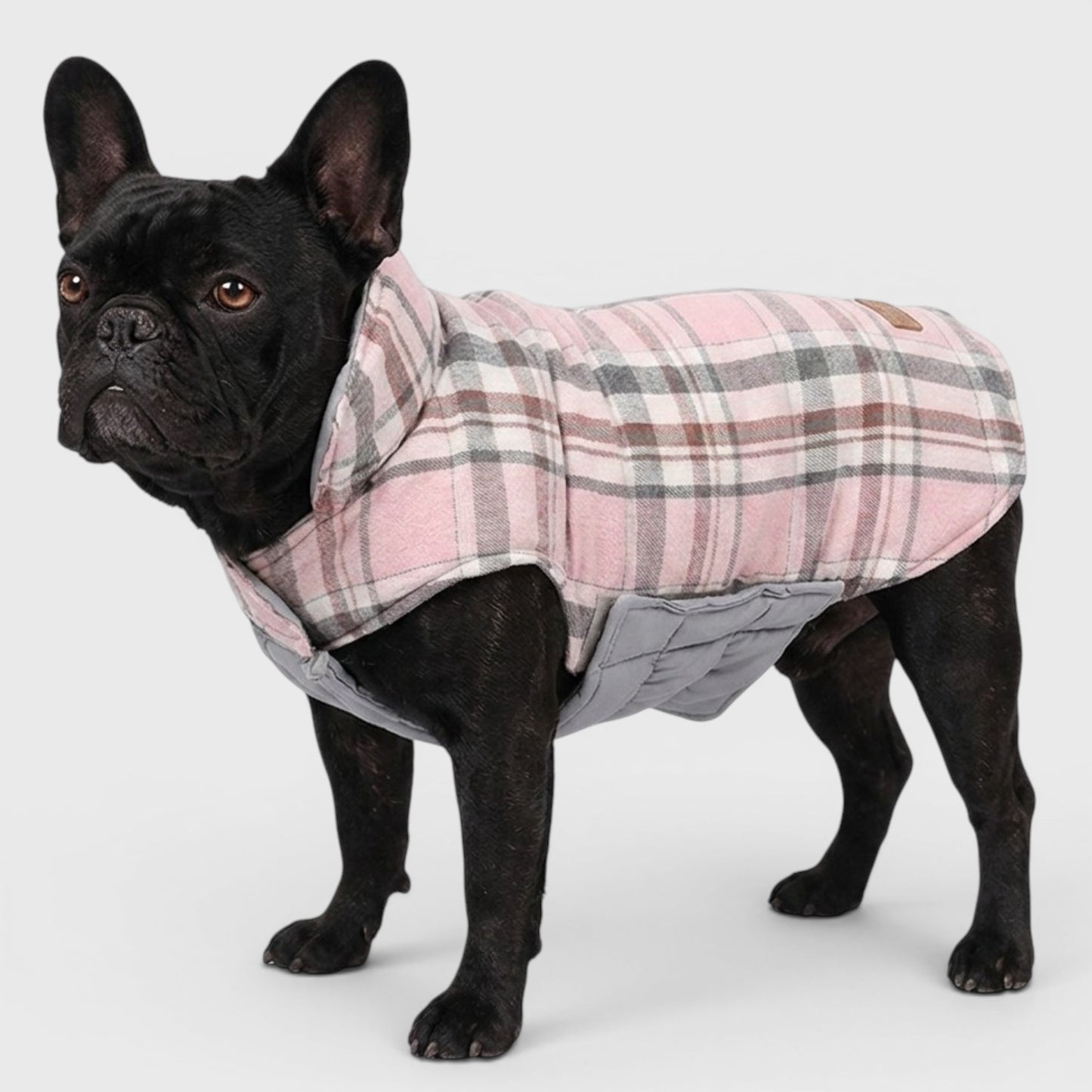 French Bulldog Luxury Winter Jacket – Stylish Polyester Dog Coat