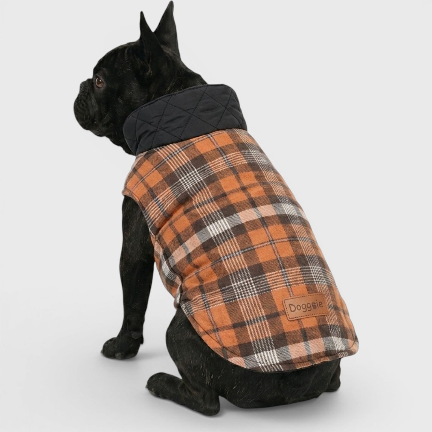 French Bulldog Luxury Winter Jacket – Stylish Polyester Dog Coat