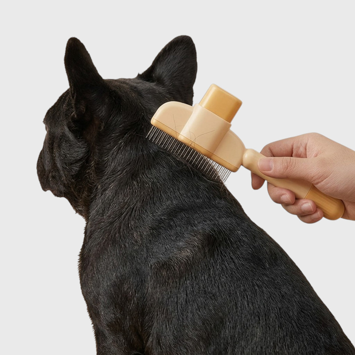 French Bulldog Self-Cleaning Slicker Brush – 1-Button Grooming Tool